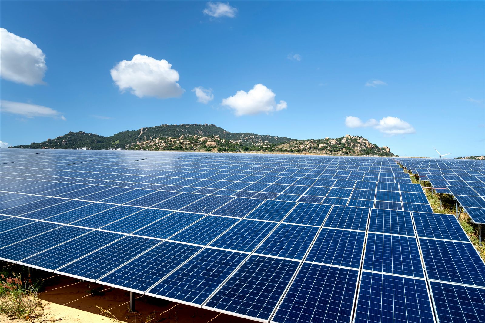 Homeowner reviewing solar savings and financing options